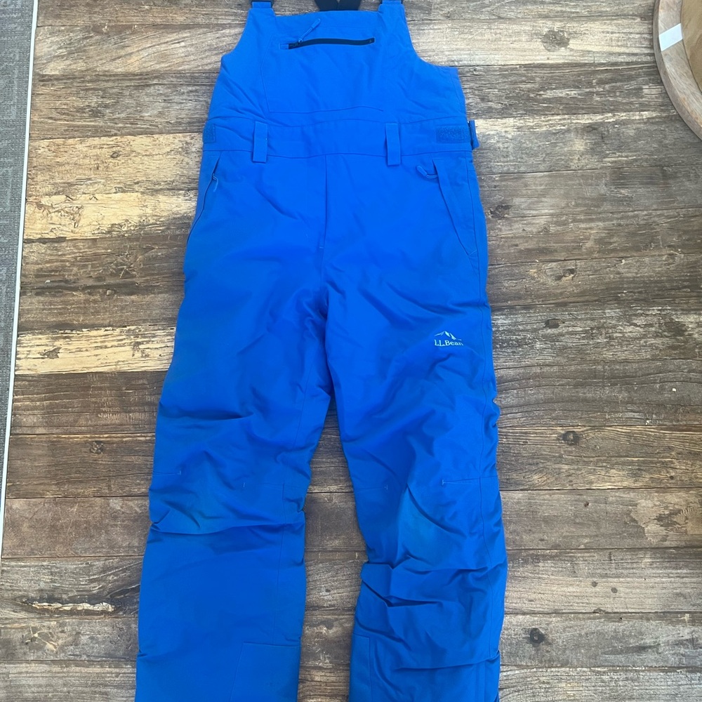 L.L. Bean Waterproof Wildcat Insulated Ski Bib Sz14